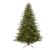 1754913013-2631-image-6_converted.png