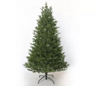 1754913031-2636-image-6_converted.png