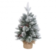 1754913036-2638-image-6_converted.png