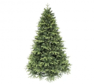 1754913093-2658-image-6_converted.png