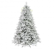 1754913204-2696-image-6_converted.png