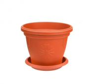 1754922254-5883-image-6_converted.png