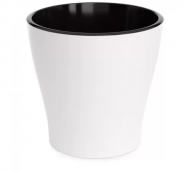 1754922358-5920-image-6_converted.png