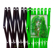 1754923354-6269-image-6_converted.png