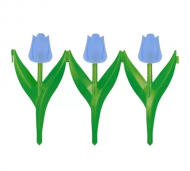 1754923359-6271-image-6_converted.png